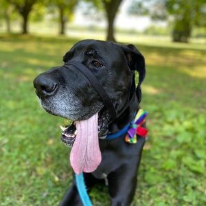 Meet your Posher, Mike